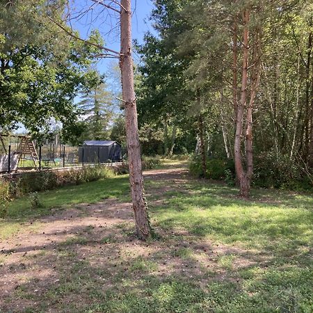 Woody Lodge Salbris Bagian luar foto
